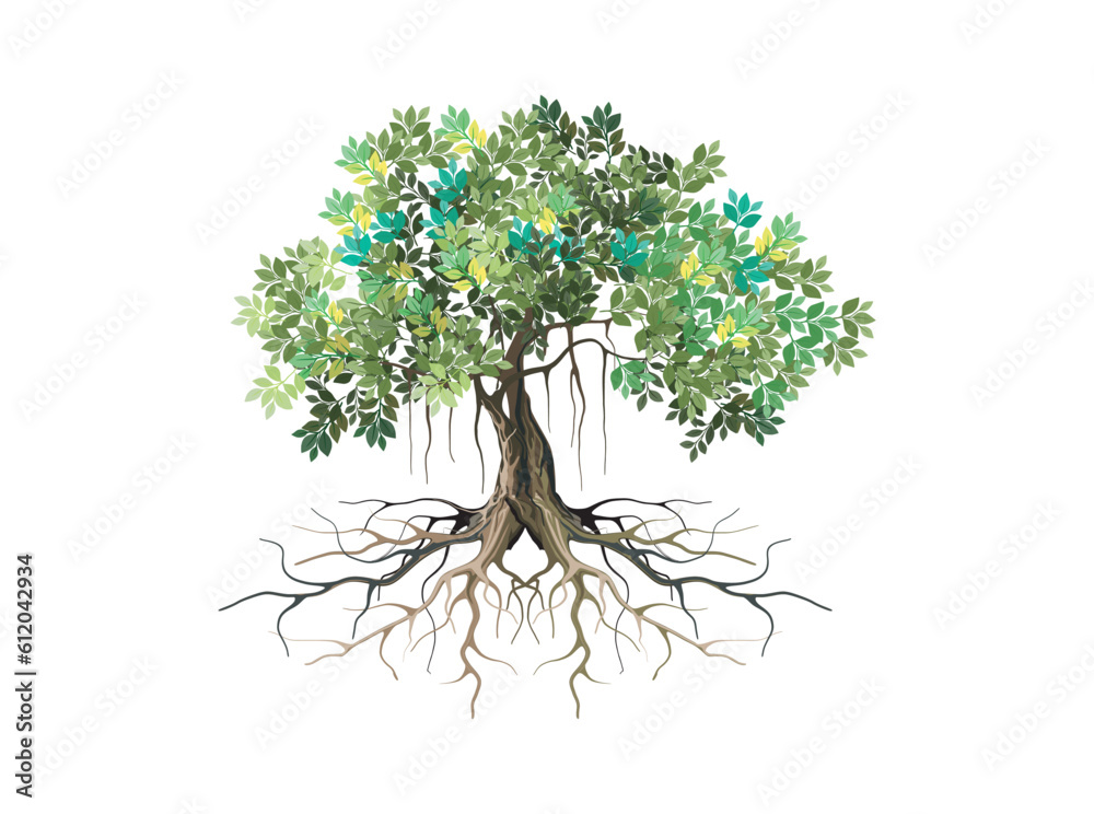 banyan tree and roots illustration vector Stock Vector | Adobe Stock