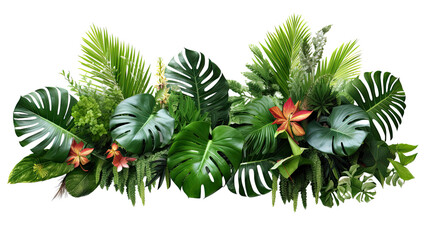 Pile of tropical flower leaf arrangement isolated 