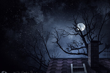 Wall Mural - spooky night image . mixed media