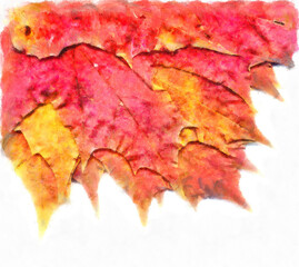 Wall Mural - Bouquet of fall maple leaves digital watercolors