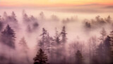 Fototapeta Na ścianę - Amazing foggy light in mystical autumn forest, Beautiful pastel colored fog forest and tree background, trees and large branches with fall orange leaves