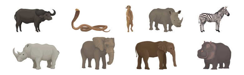 Wall Mural - african animal with buffalo, cobra, meerkat, rhino, zebra, elephant and hippo vector set