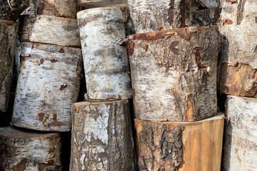 Poster - Background of stacked chopped wood logs. Pile of wood logs ready for winter. Wooden stumps, firewood stacked in heap