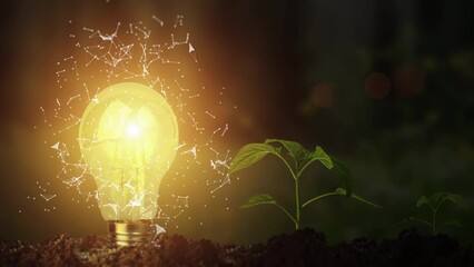 bulb green energy concept. growth plant with eco light nature technology. renewable resources, elect