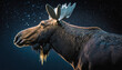 © PAO Studio - A moose at night with starry sky