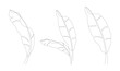 One continuous line drawing of banana leaf icon collection. Set of banana leaves line art. Abstract line art decorative concept of banana leaves pack. Single line drawing of banana leaves vector illus