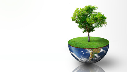 Plant growing on the half sphere of earth with grass. Isolated on white background. World Ecology, World Environment Day, World Earth Day, and Saving environment Concept. Image furnished by NASA.