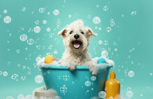 A Cute Little Dog Taking A Bubble Bath With His Paws Up On Bubble The Rim Of The Tub