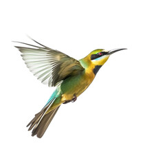 Wall Mural - Bee-eater Bird Flying in the air with open wingspan isolated on white background, Generative Ai