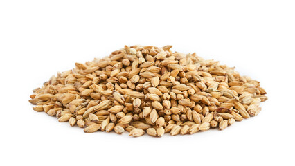 malt barley grain beer whole isolated on white background. pile of malt barley grain beer whole isolated. heap of malt barley grain beer whole isolated