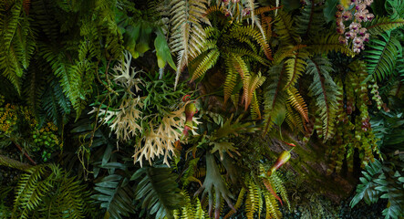 Group of dark green tropical leaves background, Nature Lush Foliage Leaf Texture, tropical leaf	