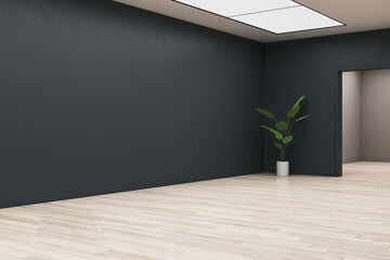 modern gallery interior with wooden flooring, blank mock up place on wall,, reflections, arch, decor