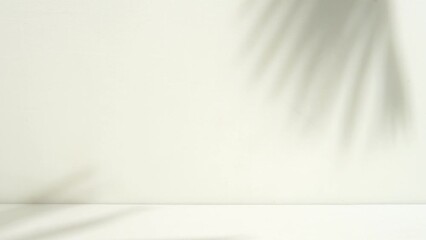 Aufkleber - white room with palm shadow