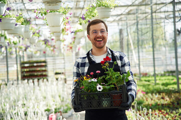 Wall Mural - In glasses, with flowers in hands. Man is working in garden center. Successful employee is in a bright greenhouse