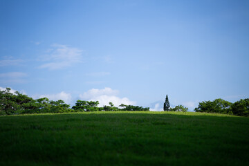 Courtyard views of green lawns and trees and bright blue skies