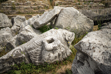 stone lion on the rock