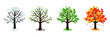 Cartoon tree collection. Set of different season tree. Winter, spring, summer, fall tree collection