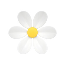 Chamomile Organic Bud Flower Botanical Bloom With Six Petals Natural Ecology 3d Icon Vector