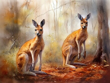 Two Kangaroos In The Wild