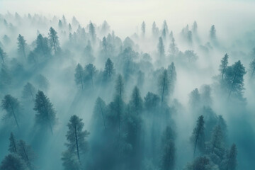 Aerial view of a misty forest in a foggy day. Generative AI.