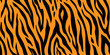 Seamless pattern with tiger stripes. Animal print.
