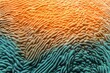 Organic texture of  Elephant skin hard coral (Pachyseris speciosa) as an abstract background