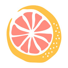Grapefruit Drawing Hand Painted With Ink Brush. Png Clipart Isolated On Transparent Background