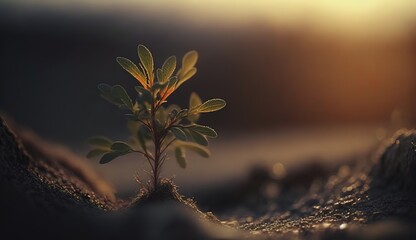 Wall Mural - Image of a little plant in selective focus, set against a dawn background. Generative AI