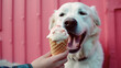 dog and cold sweet ice cream, summer vacation, travel, cooling. generated ai.