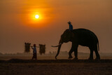 Fototapeta Zwierzęta - Silhouette of mahout man sit on back of big Asian elephant and walk in front by farmer woman carry straw with morning sun on background.