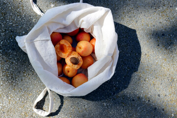 Wall Mural - Ripe apricots in a rag bag on a gray stone background.