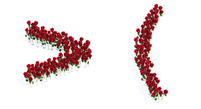 Conceptual set of beautiful blooming red roses bouquets forming the greater and ( signs. 3d illustration metaphor for education, design and decoration, romance and love, nature, spring or summer.