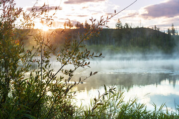 Sticker - Fog on the lake