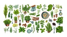 Collection Of Herbs,  Flat Illustration, Kitchen Herbs And Mediterranean Herbs, Top View, Flat Lay, Ai Generated