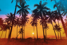 Silhouette Coconut Palm Trees On Beach At Sunset. Vintage Tone.