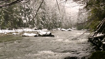 Wall Mural - Scenic view of a river surrounded by lush trees covered in snow in a beautiful winter forest