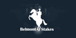 Belmont Stakes, Horse Racing. Vector illustration Belmont Stakes, Horse Racing typography. The Belmont Stakes is an American Grade I stakes race. Belmont banner design