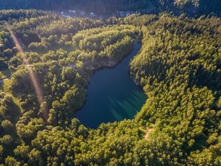 Wall Mural - Scenic aerial view of a lake in a forest