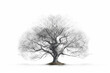 © designer - Serene Tree on White Background
