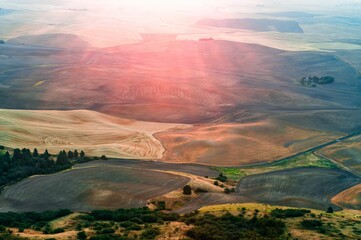 Sticker - Beautiful view of a farmland covered with sunrays