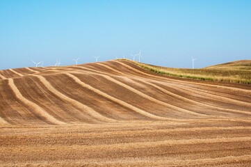 Sticker - Beautiful view of wind turbines on a wheat field during a sunset