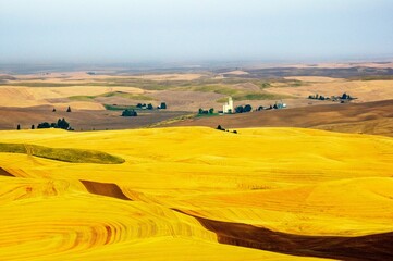 Sticker - Beautiful view of a harvested field in Palouse