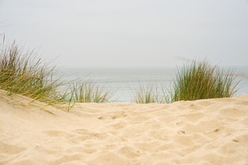 Beach view from the path sand between the dunes at Dutch coastline. Marram grass, Netherlands. The dunes or dyke at Dutch north sea coast