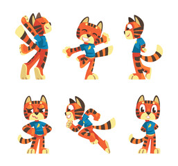 Wall Mural - Striped Tiger Character in Blue Shirt with Orange Fur Vector Set