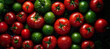 Jitomate rojo y tomate verde con fondo verde. Agricultura sustentable y alimentación sana