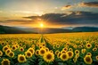field of sunflower at the time of sunset  , By Generative Ai