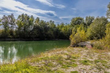 Wall Mural - Landscape scene of green trees reflecting on a lake under blue sky in the summer