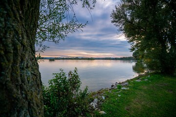 Poster - Sunset riverside with grass and trees in Prelog city on River Drava, Croatia