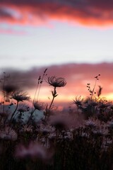 Canvas Print - Closeup of blooming flowers in background of mountains during sunset