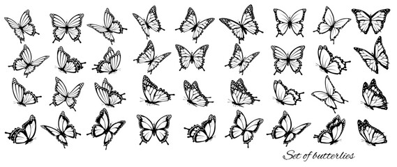 set of butterflies, flying in different directions. butterfle silhouette. vector.